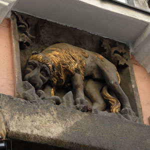 Zloty lew gra miejska w Krakowie